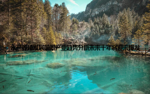 水产养殖发展前景产业趋势分析未来十年将迎来爆发式增长新机遇全球人口增长与消费升级正为水产养殖产业注入强劲动力