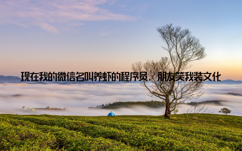 现在我的微信名叫养虾的程序员, 朋友笑我装文化人, 但我觉得, 新时代的农民不就该这样吗? 一手沾着泥土, 一手握着手机, 在田间地头书写着不一样的农业故事