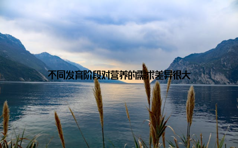 不同发育阶段对营养的需求差异很大