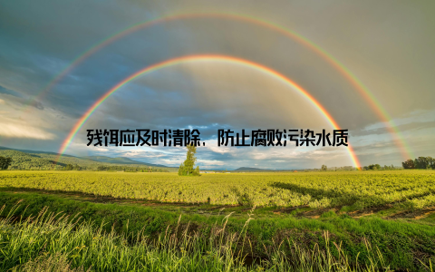 残饵应及时清除, 防止腐败污染水质
