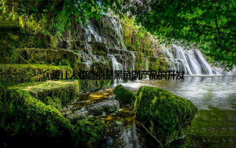 更让人惊喜的是黑鱼副产品的开发