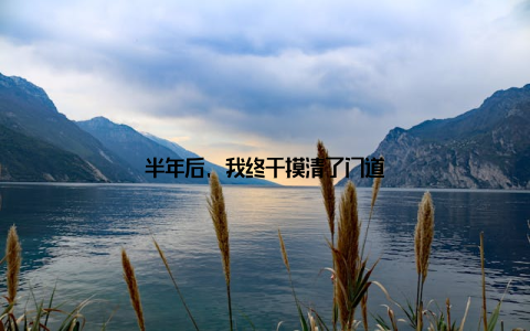 半年后, 我终于摸清了门道