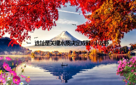 — 选址是关键水质决定成败 小龙虾对水质极为敏感, 选址时需满足以下条件- 水源清洁无污染避免工业废水、农药残留影响