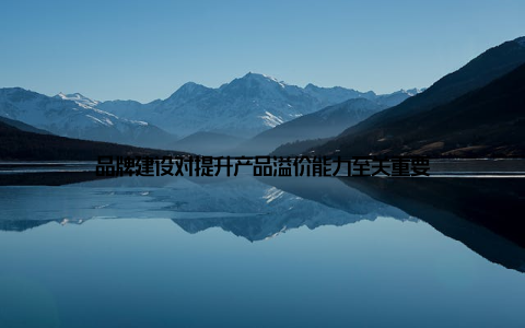 品牌建设对提升产品溢价能力至关重要