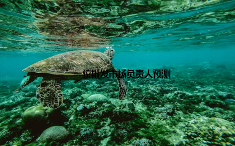 ”一位批发市场负责人预测