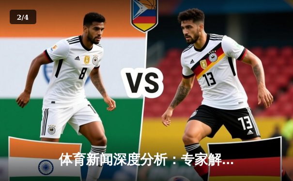 体育新闻深度分析：专家解读 - 2